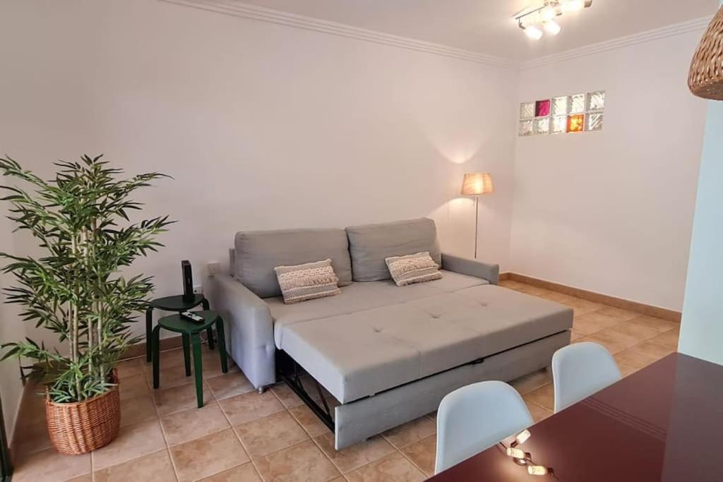 Jardin Del Teide Apartment Пуерто де ла Крус Екстериор снимка